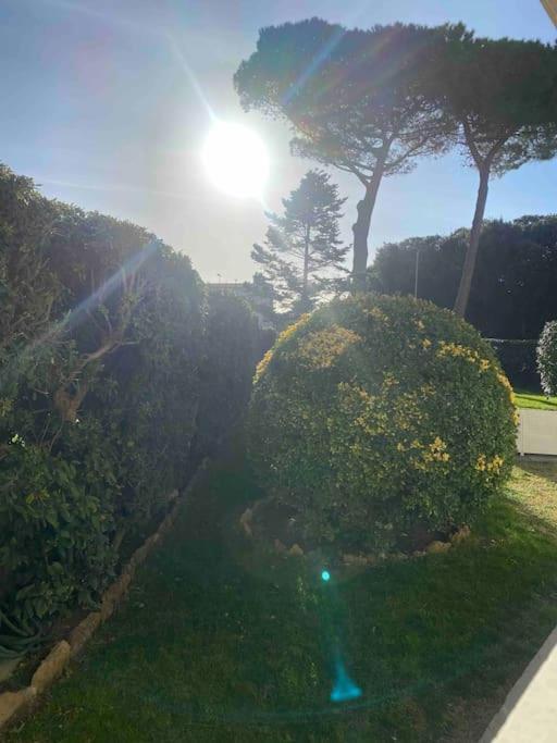 Casa Vento Marino Appartement Livorno Buitenkant foto